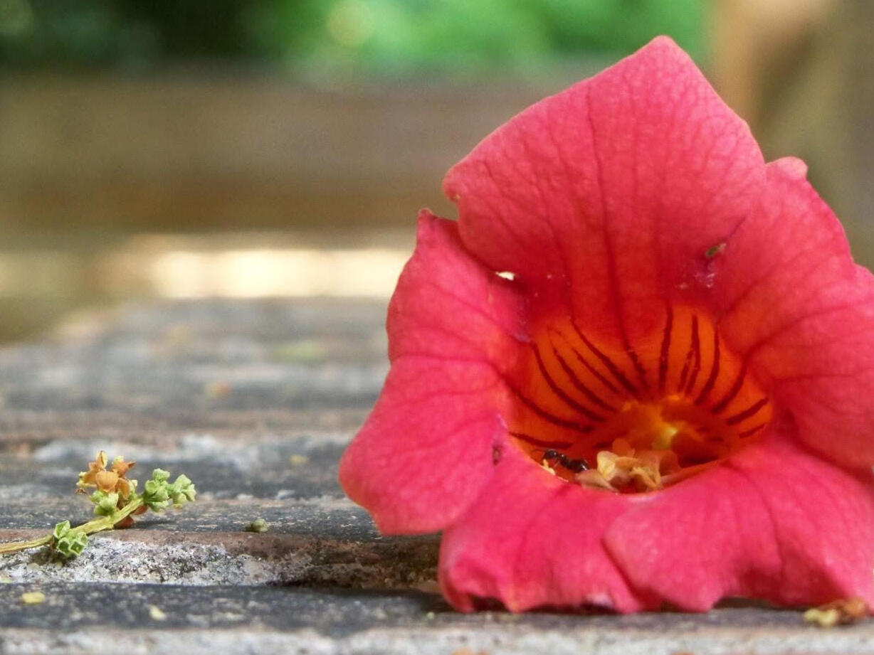 Acupressure session focused on calming the vagus nerve. Reiki and craniosacral for relaxation.